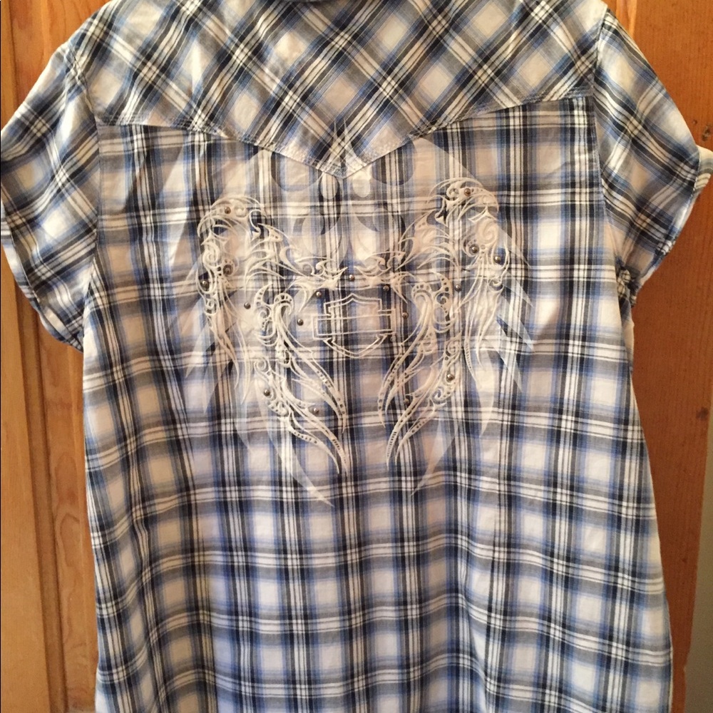 Harley Davidson blue and white plaid shirt.